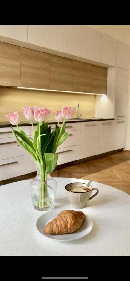 City Center Apartment Hradec Kralove Luaran gambar